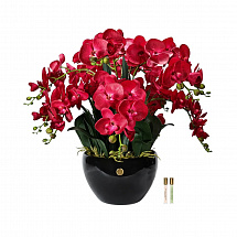 Ароматизированный букет 74см."Orchid" красный Côte Noire
