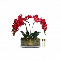 Ароматизированный букет овальный "Orchid" красный Côte Noire