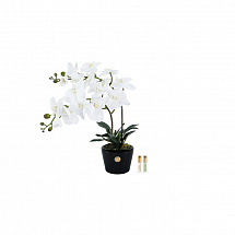 Кашпо 34см."Orchid" белое