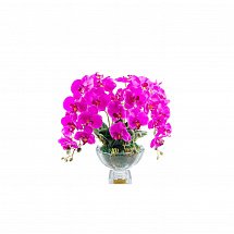 Ароматизированный букет "Orchides" фуксия Côte Noire