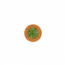 Тарелка 19,5см."Pineapple"