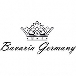 Bavarian Porcelain