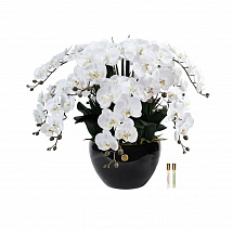 Ароматизированный букет 74см."Orchid" белый Côte Noire