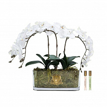 Ароматизированный букет овальный "Orchid" белый Côte Noire