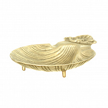 Ракушка декоративная