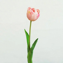 Тюльпан бокал 45см.,розовый