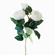 Роза пионовидная 3 бутона (белый)